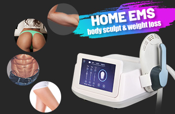 ems body sculpt home