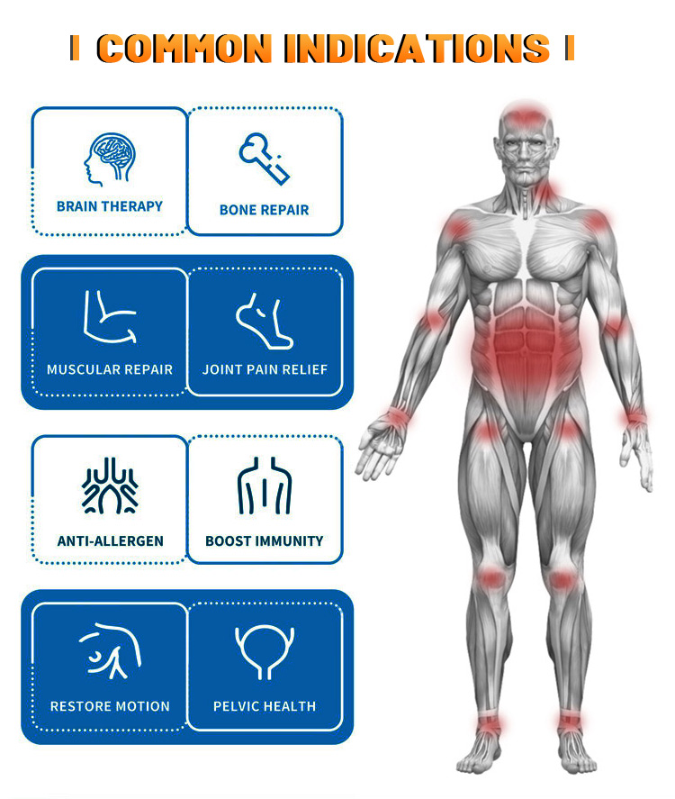 Physio Magneto Pemf Magnetic machine