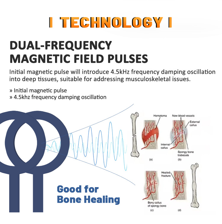 Physio Magneto Pemf Magnetic machine